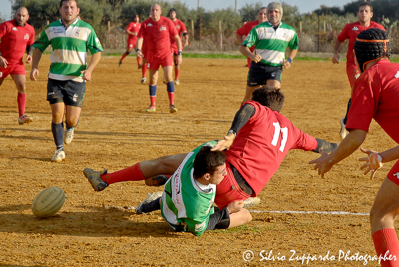 _DSC9999.jpg - Giuseppe Zuppardo 2008 KINZLE@TIN.IT