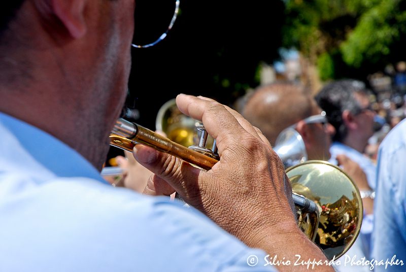 _DSC7248.jpg - Giuseppe Zuppardo 2008 KINZLE@TIN.IT